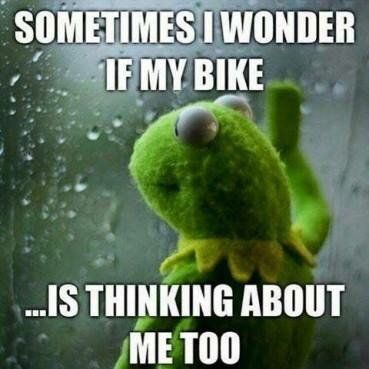 kermit motorcycle